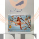 Наволочка Basic Collection «Кардиналы» перкаль, 50*70