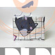 Наволочка Kids Collection «Котокубики» поплин, 50*70